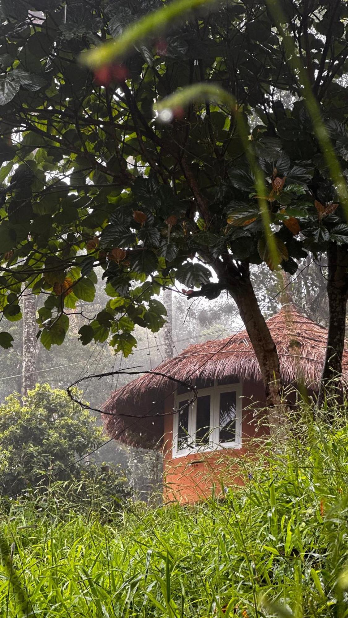 Punarjani Ayurvedic Resorts Ramakkalmedu Exterior photo