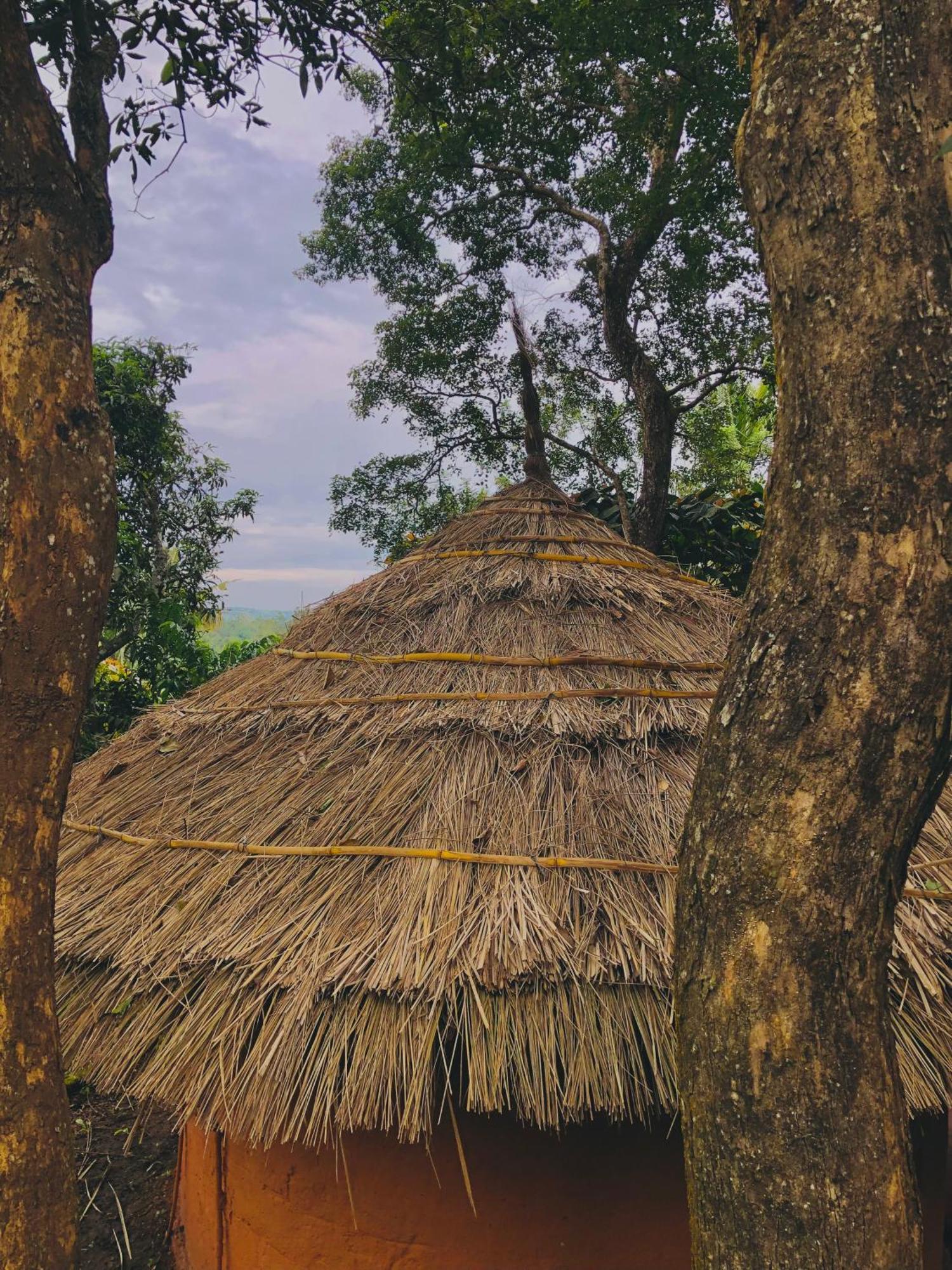 Punarjani Ayurvedic Resorts Ramakkalmedu Exterior photo